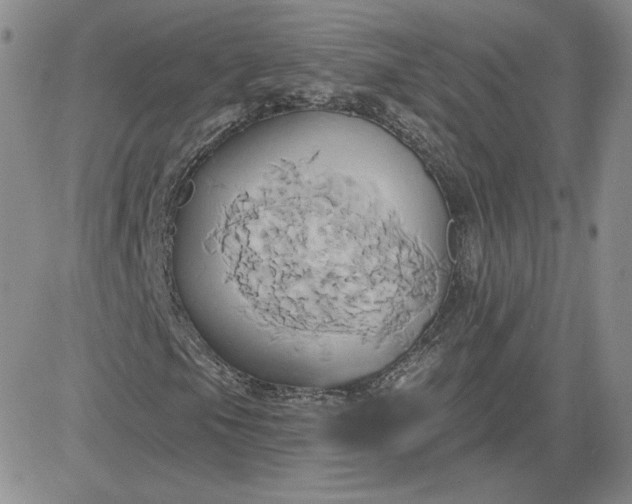 X0000081301105200701251711