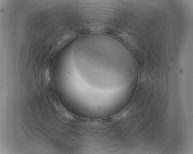 X0000081301106200701251711