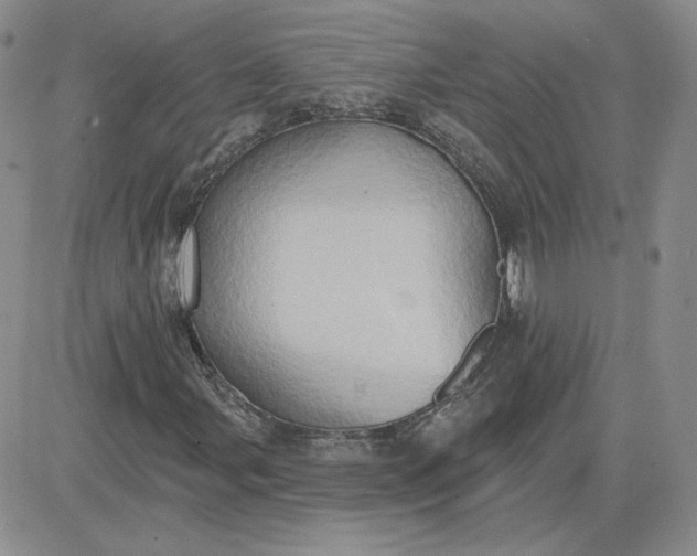 X0000081301107200701251711