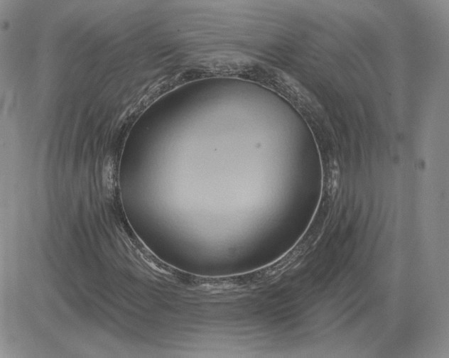 X0000081301108200701251711