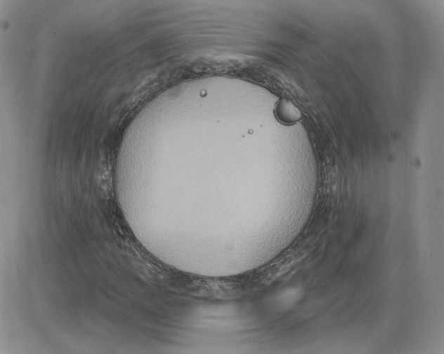 X0000081301109200701251711