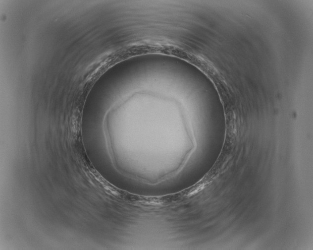 X0000081301110200701251711