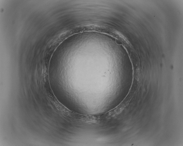 X0000081301111200701251711