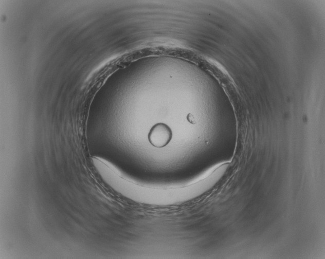 X0000081301112200701251711