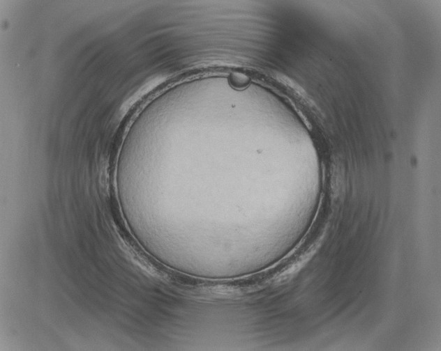 X0000081301113200701251711