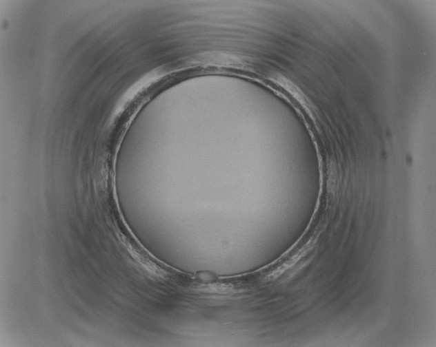 X0000081301115200701251711