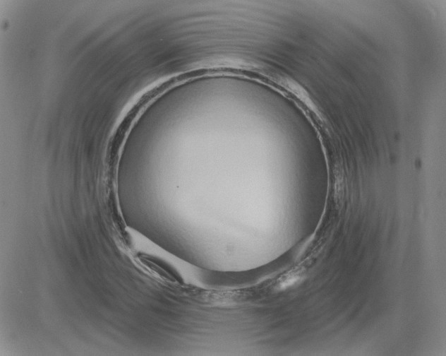 X0000081301116200701251711