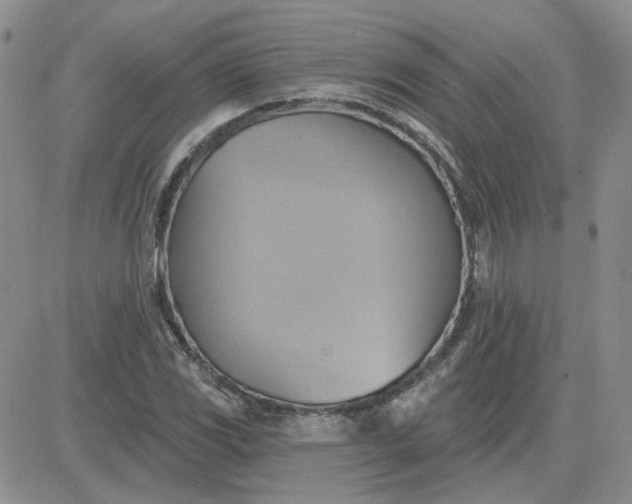 X0000081301117200701251711