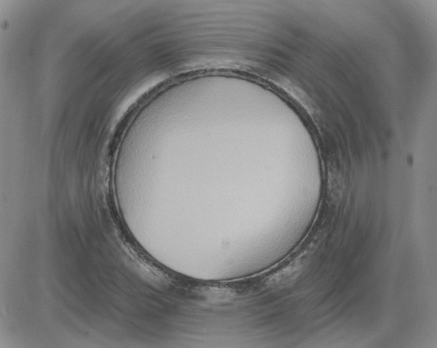 X0000081301119200701251711