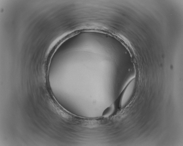 X0000081301120200701251711