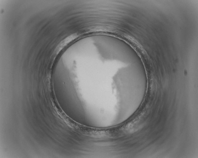 X0000081301121200701251711