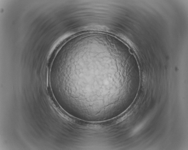 X0000081301123200701251711