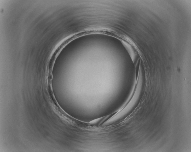 X0000081301124200701251711