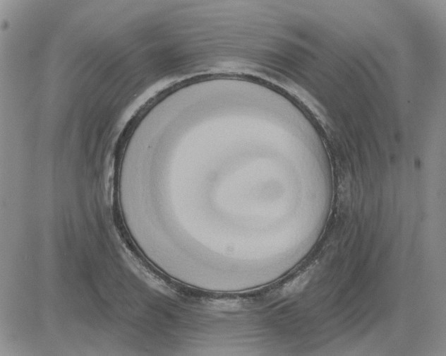 X0000081301126200701251711