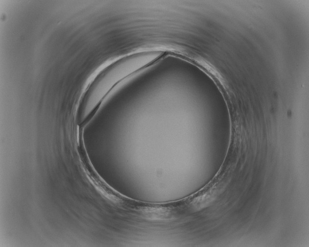 X0000081301127200701251711