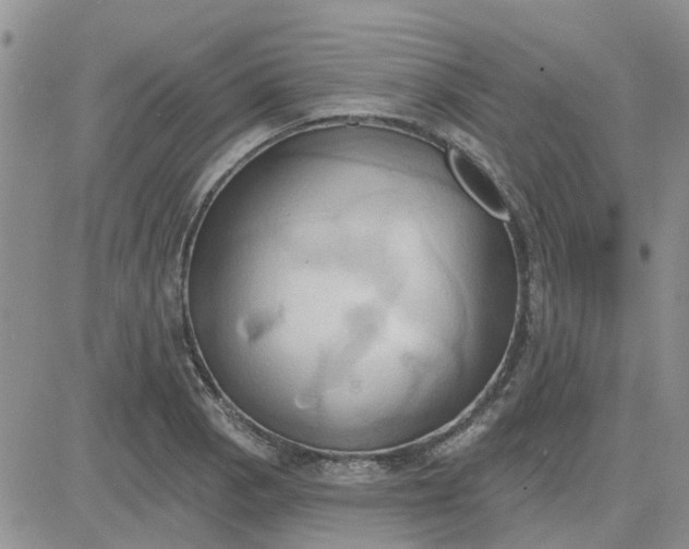 X0000081301129200701251711