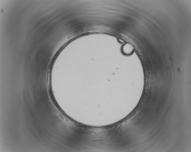 X0000081301130200701251711