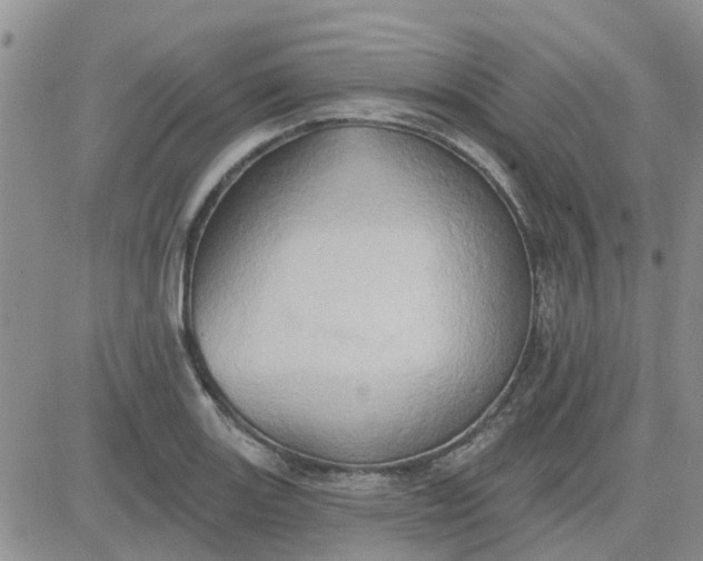 X0000081301131200701251711