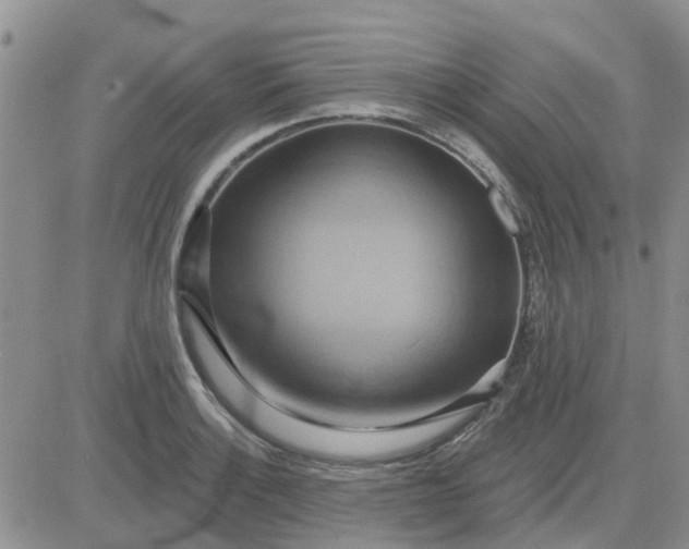 X0000081301132200701251711