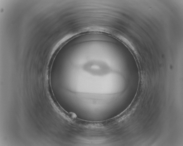 X0000081301133200701251711