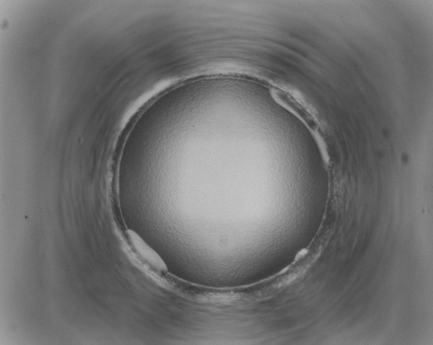 X0000081301134200701251711