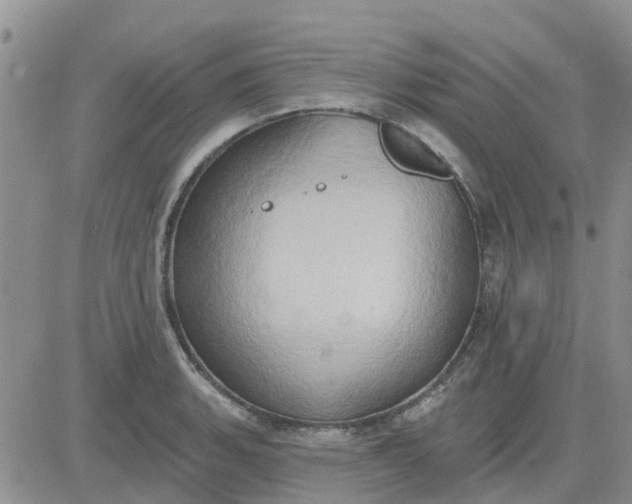 X0000081301135200701251711