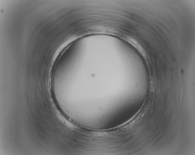 X0000081301136200701251711