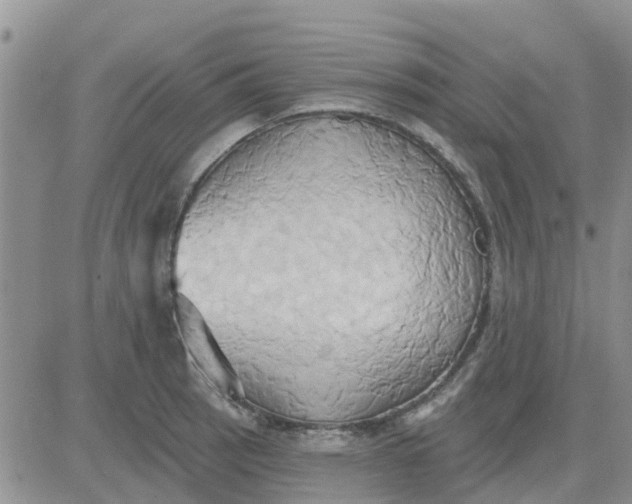 X0000081301137200701251711