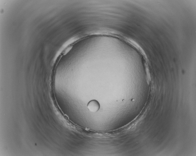 X0000081301138200701251711