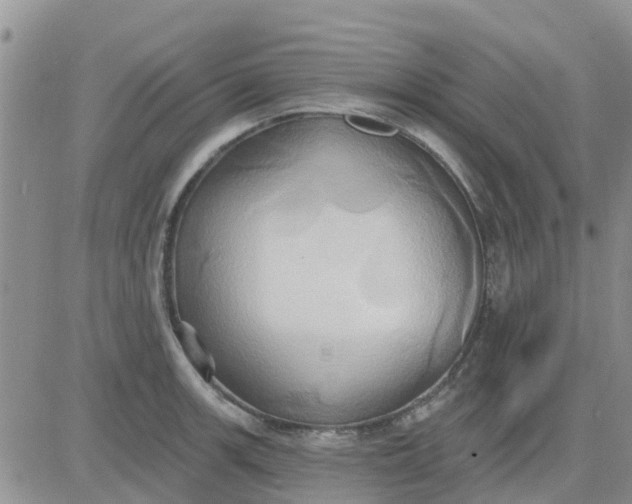 X0000081301139200701251711