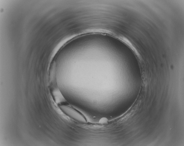 X0000081301140200701251711