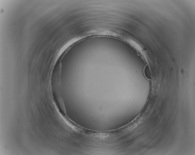 X0000081301141200701251711