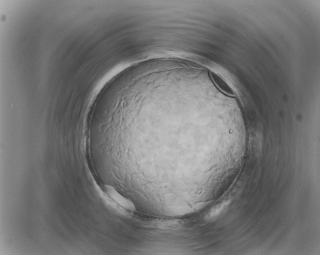 X0000081301143200701251711