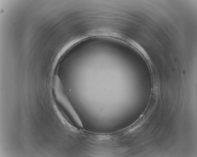 X0000081301144200701251711