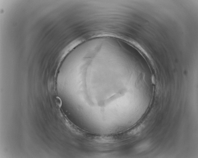 X0000081301145200701251711