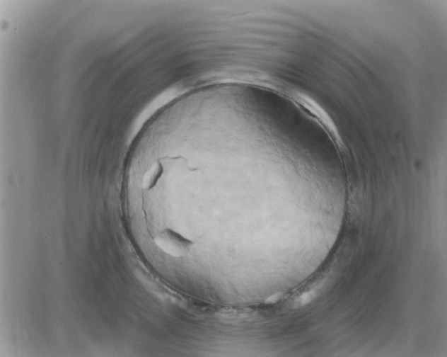 X0000081301146200701251711