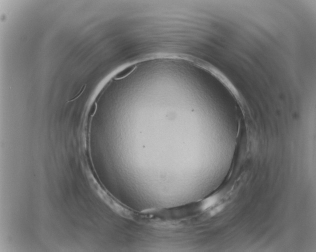 X0000081301148200701251711