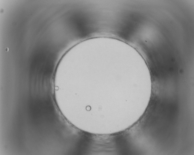 X0000081301150200701251711