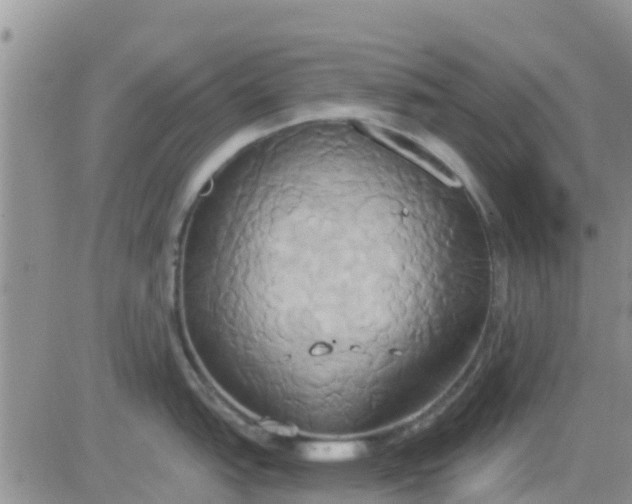 X0000081301151200701251711