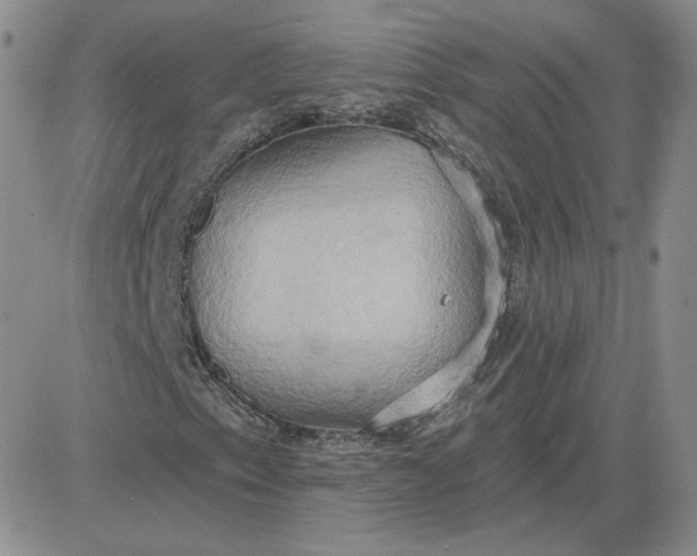 X0000081301153200701251711