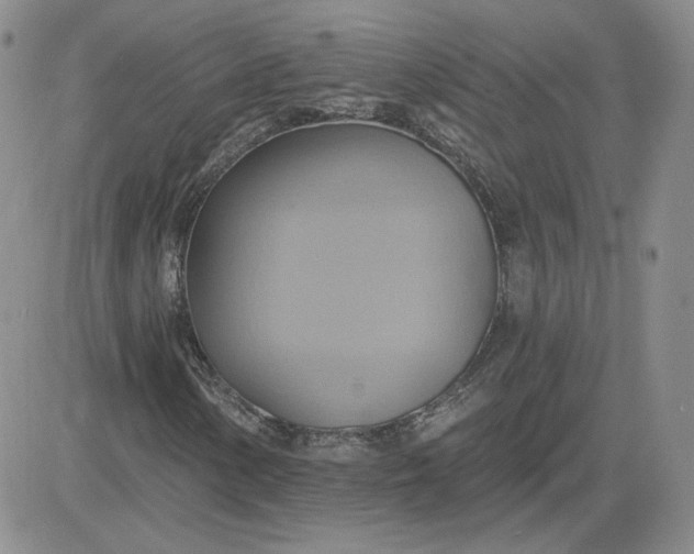 X0000081301154200701251711