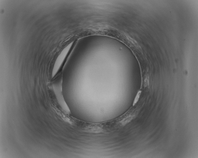 X0000081301156200701251711