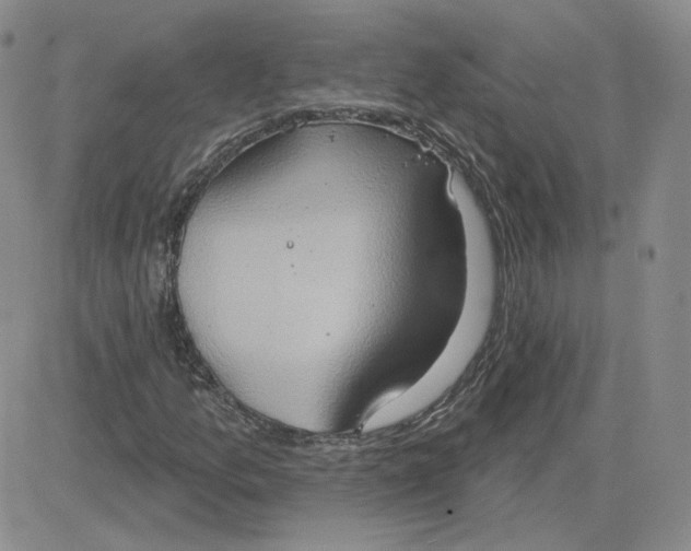 X0000081301157200701251711