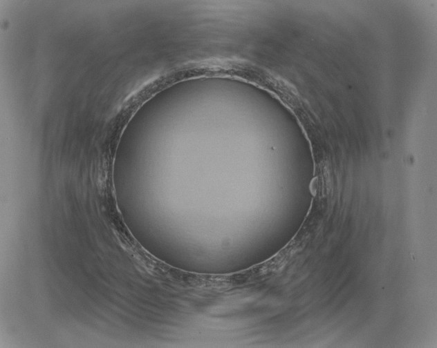 X0000081301158200701251711