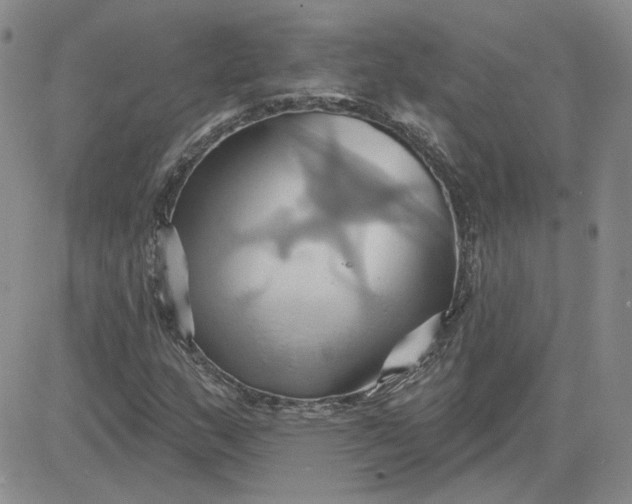 X0000081301159200701251711