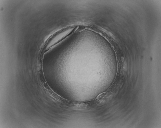 X0000081301160200701251711