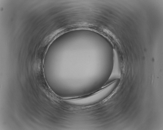 X0000081301161200701251710