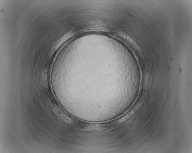 X0000081301162200701251710