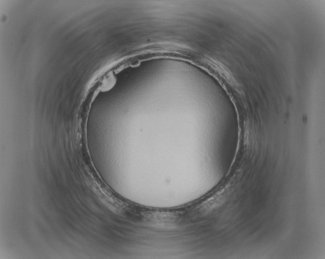 X0000081301164200701251710