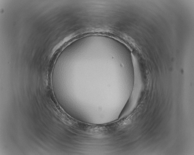 X0000081301165200701251710